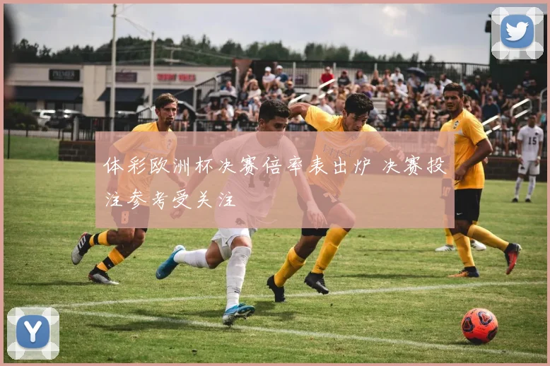 体彩欧洲杯决赛倍率表出炉 决赛投注参考受关注