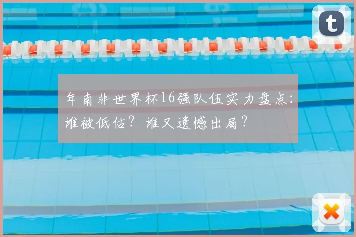 年南非世界杯16强队伍实力盘点：谁被低估？谁又遗憾出局？
