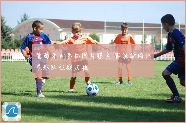 葡萄牙世界杯图片曝光 赛场瞬间记录球队征战历程