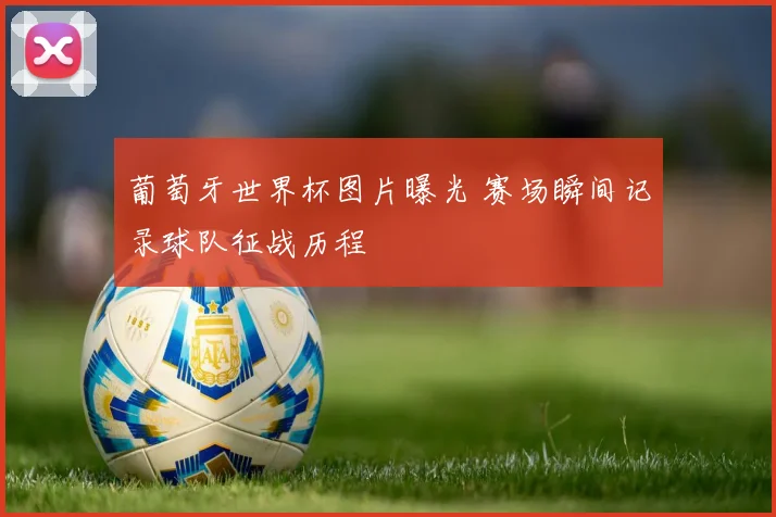 葡萄牙世界杯图片曝光 赛场瞬间记录球队征战历程