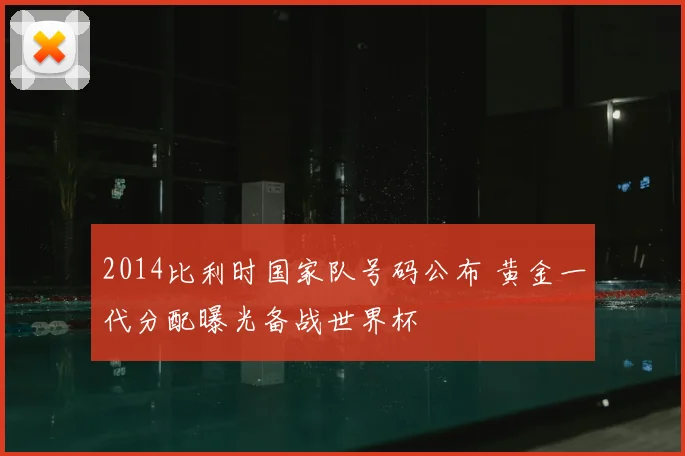 2014比利时国家队号码公布 黄金一代分配曝光备战世界杯