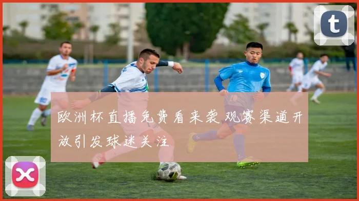 欧洲杯直播免费看来袭 观赛渠道开放引发球迷关注