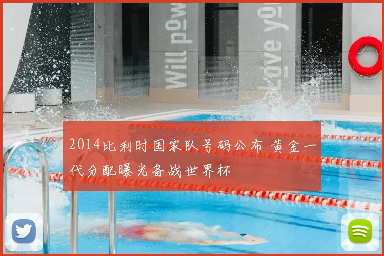 2014比利时国家队号码公布 黄金一代分配曝光备战世界杯