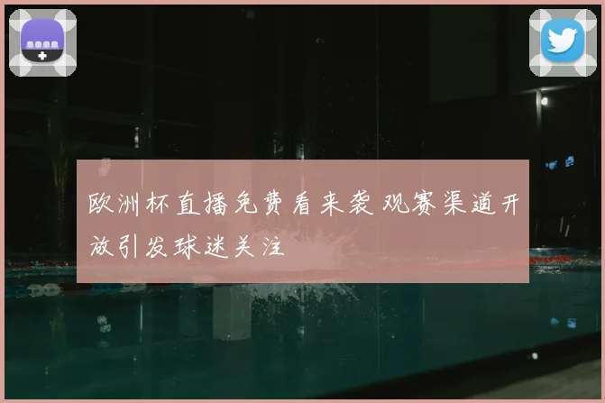 欧洲杯直播免费看来袭 观赛渠道开放引发球迷关注