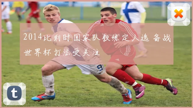 2014比利时国家队教练定人选 备战世界杯打法受关注