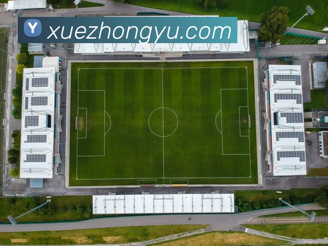 对战数据统计